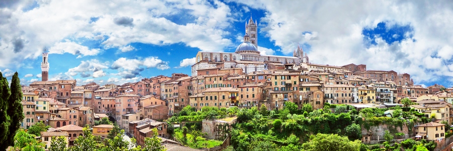 ×¡×™×™× ×”